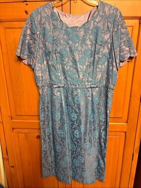 Blue Lace Overlay Short Sleeve Vintage Dress